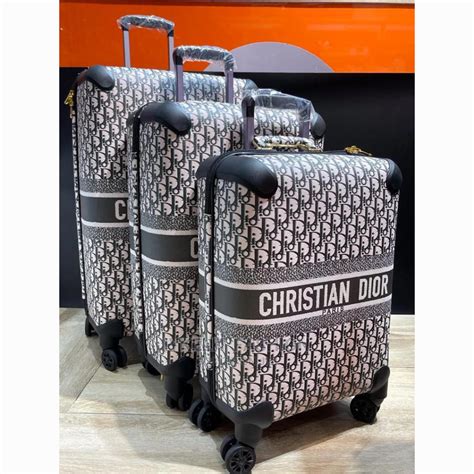 christian Dior luggage set